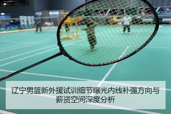 辽宁男篮新外援试训细节曝光内线补强方向与薪资空间深度分析